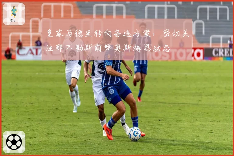 皇家马德里转向备选方案，密切关注那不勒斯前锋奥斯梅恩动态
